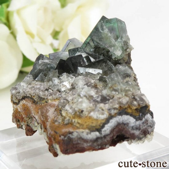󥰥 Billing Hills Mine ե饤Ȥդ뾽ʸС33.6gμ̿2 cute stone
