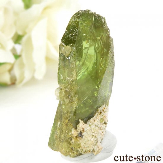 ֥饸 Capelinha եη뾽ʸС7.2gμ̿0 cute stone