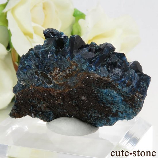 ʥ 桼 ԥåɥ꡼ 饺饤(ŷ)դ뾽ʸС 20.5gμ̿0 cute stone