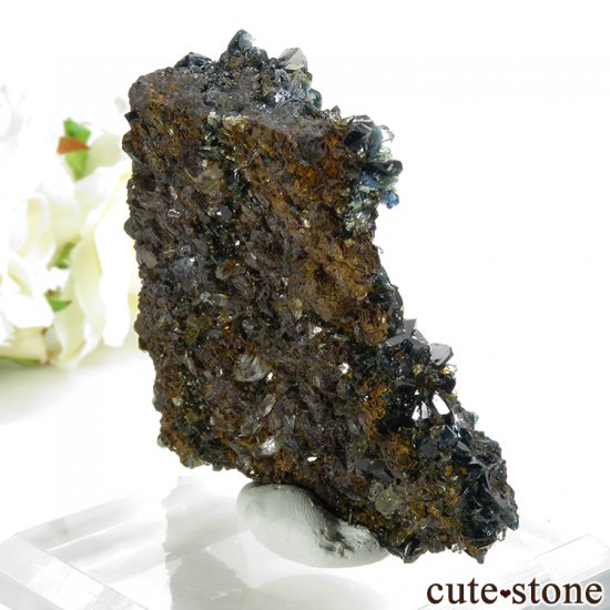 ʥ 桼 ԥåɥ꡼ 饺饤(ŷ)դ뾽ʸС 53.5gμ̿0 cute stone