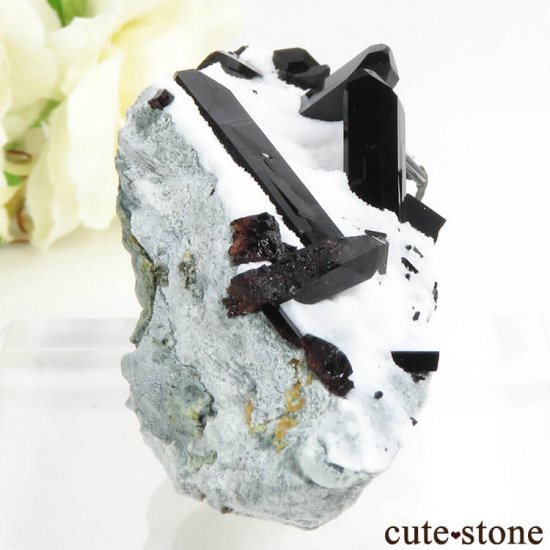 ե˥ ͥץʥȤդ뾽ʸС 47gμ̿0 cute stone