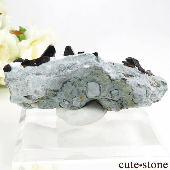 ե˥ ͥץʥȤդ뾽ʸС 47gμ̿1 cute stone