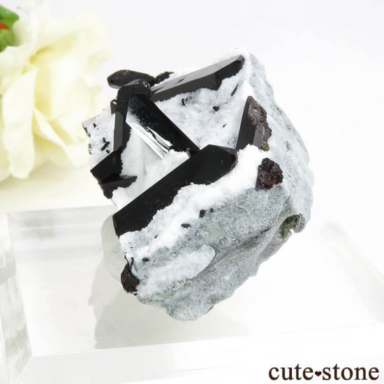 ե˥ ͥץʥȤդ뾽ʸС 47gμ̿2 cute stone