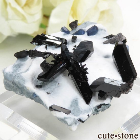 ե˥ ٥˥ȥȡͥץʥȤդ뾽ʸС 26.8gμ̿0 cute stone