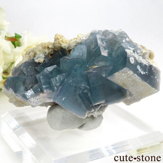 ꥢ ꥢʥ꡼˻ ֥롼ե饤Ȥդ뾽ʸС 110gμ̿0 cute stone