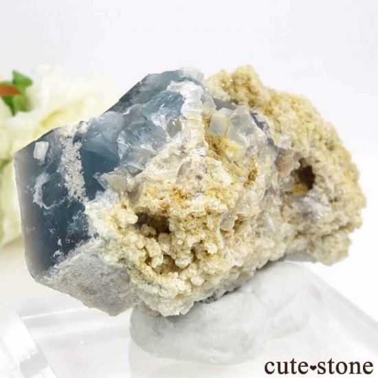ꥢ ꥢʥ꡼˻ ֥롼ե饤Ȥդ뾽ʸС 110gμ̿1 cute stone