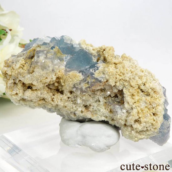 ꥢ ꥢʥ꡼˻ ֥롼ե饤Ȥդ뾽ʸС 110gμ̿2 cute stone