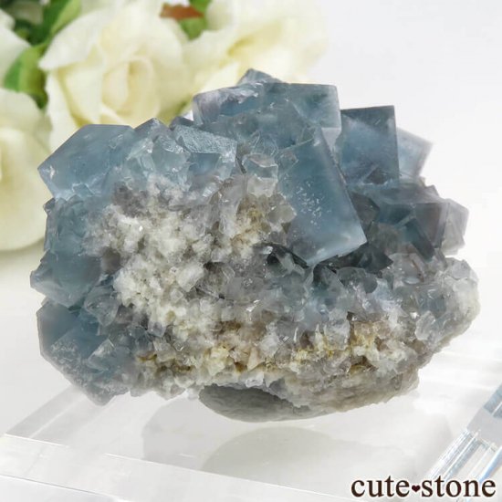 ꥢ ꥢʥ꡼˻ ֥롼ե饤Ȥդ뾽ʸС 80.6gμ̿0 cute stone