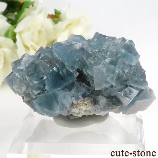 ꥢ ꥢʥ꡼˻ ֥롼ե饤Ȥդ뾽ʸС 80.6gμ̿1 cute stone