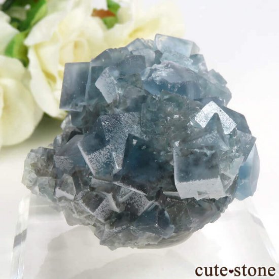 ꥢ ꥢʥ꡼˻ ֥롼ե饤Ȥդ뾽ʸС 80.6gμ̿2 cute stone