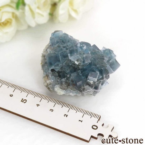 ꥢ ꥢʥ꡼˻ ֥롼ե饤Ȥդ뾽ʸС 80.6gμ̿3 cute stone