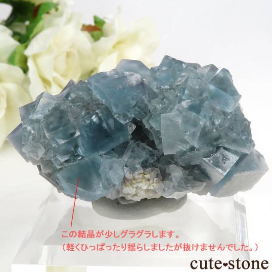ꥢ ꥢʥ꡼˻ ֥롼ե饤Ȥդ뾽ʸС 80.6gμ̿4 cute stone