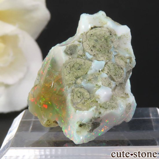 ߤʥԥ ѡθ 4gμ̿1 cute stone