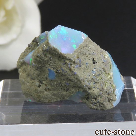 ԥ ѡθ 2.8gμ̿0 cute stone