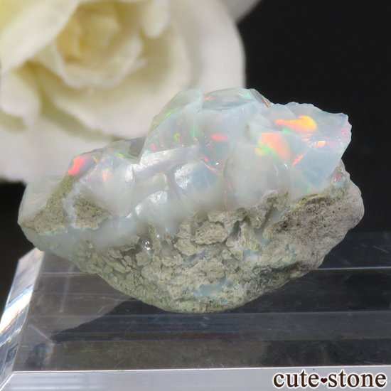 ԥ ѡθ 2.7gμ̿0 cute stone
