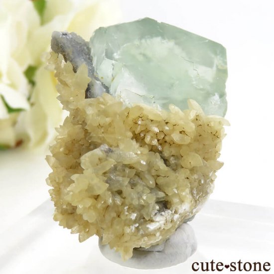󥴥뻺 ꡼ե饤ȡ륵Ȥդ뾽ʸС 47.2gμ̿0 cute stone