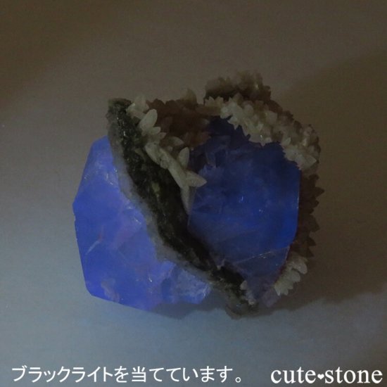 󥴥뻺 ꡼ե饤ȡ륵Ȥդ뾽ʸС 47.2gμ̿4 cute stone