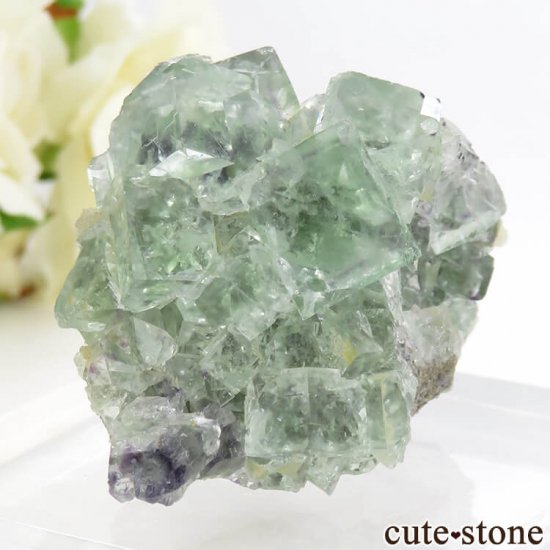 󥴥뻺 ꡼ե饤Ȥդ뾽ʸС 61.3gμ̿0 cute stone