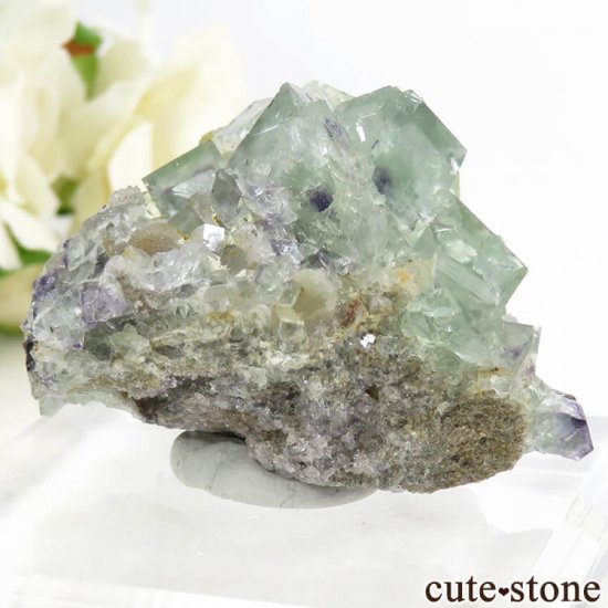 󥴥뻺 ꡼ե饤Ȥդ뾽ʸС 61.3gμ̿1 cute stone