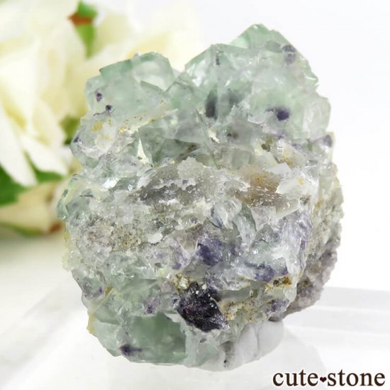 󥴥뻺 ꡼ե饤Ȥդ뾽ʸС 61.3gμ̿2 cute stone