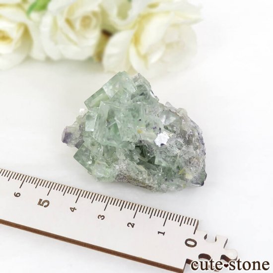 󥴥뻺 ꡼ե饤Ȥդ뾽ʸС 61.3gμ̿3 cute stone