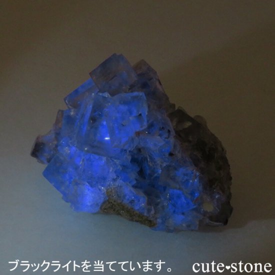 󥴥뻺 ꡼ե饤Ȥդ뾽ʸС 61.3gμ̿4 cute stone