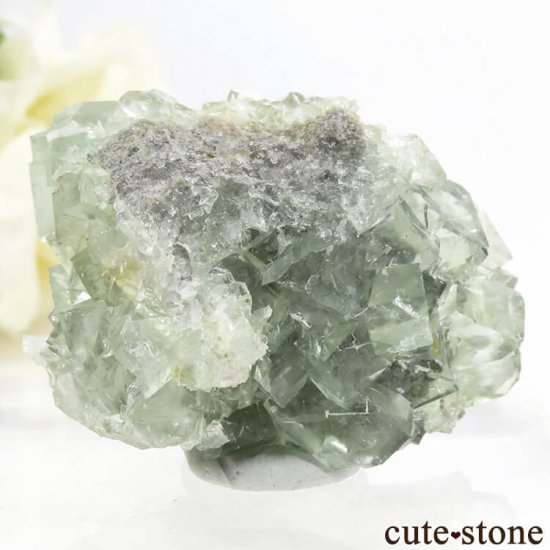󥴥뻺 ꡼ե饤Ȥդ뾽ʸС 47.1gμ̿1 cute stone