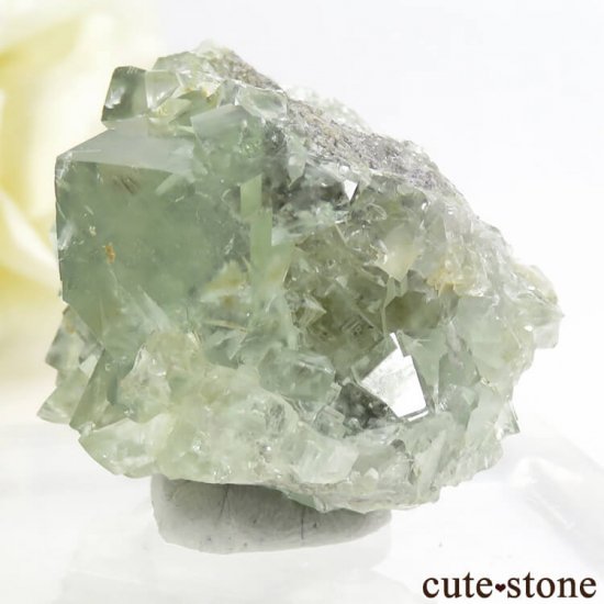 󥴥뻺 ꡼ե饤Ȥդ뾽ʸС 47.1gμ̿2 cute stone