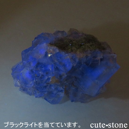 󥴥뻺 ꡼ե饤Ȥդ뾽ʸС 47.1gμ̿4 cute stone