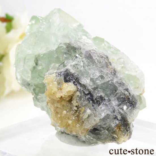 󥴥뻺 ꡼ե饤ȡ륵Ȥդ뾽ʸС 62.1gμ̿0 cute stone