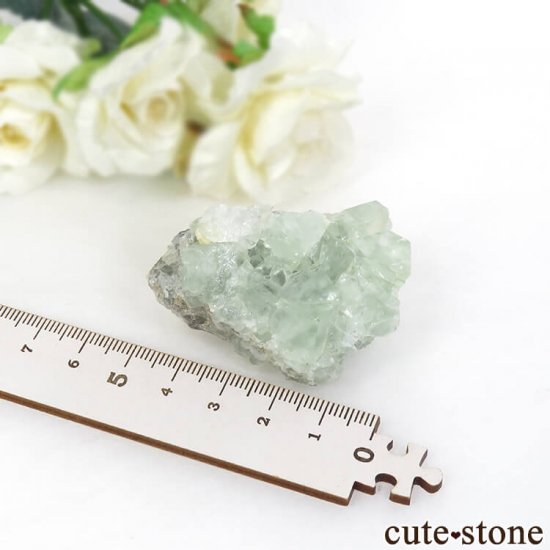 󥴥뻺 ꡼ե饤ȡ륵Ȥդ뾽ʸС 62.1gμ̿3 cute stone