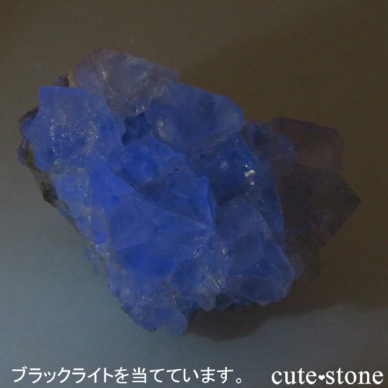 󥴥뻺 ꡼ե饤ȡ륵Ȥդ뾽ʸС 62.1gμ̿4 cute stone