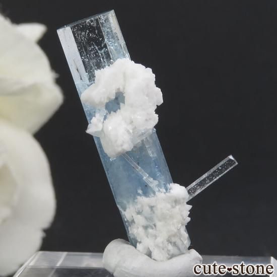 ʥߥӥ 󥴻 ޥη뾽ʸС2.0gμ̿1 cute stone