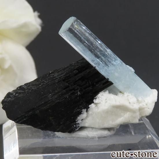 ʥߥӥ 󥴻 ޥ硼դ뾽ʸС6.3gμ̿1 cute stone