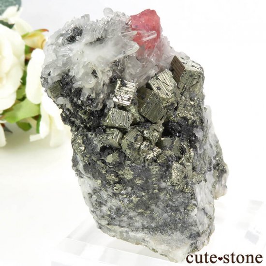  ȥۡۻΥɥȡѥ饤ȡĤθ 149gμ̿0 cute stone