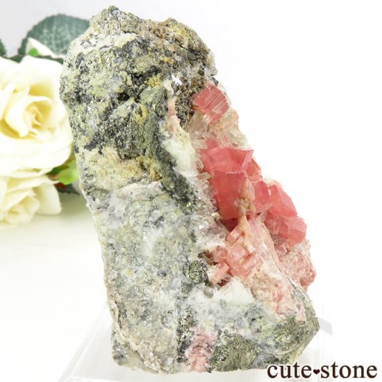  ȥۡۻΥɥȡĤθ 139gμ̿0 cute stone
