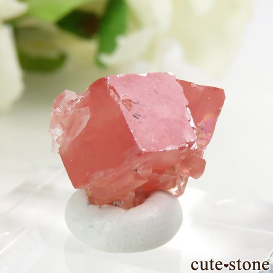  ȥۡۻΥɥȡĤη뾽 3.3gμ̿0 cute stone