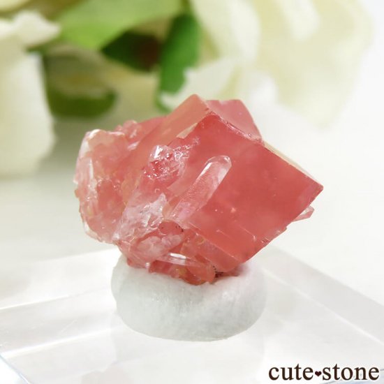  ȥۡۻΥɥȡĤη뾽 3.3gμ̿1 cute stone