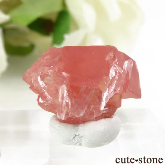  ȥۡۻΥɥȡĤη뾽 3.3gμ̿2 cute stone