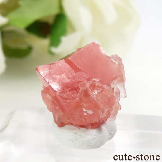  ȥۡۻΥɥȡĤη뾽 3.3gμ̿3 cute stone