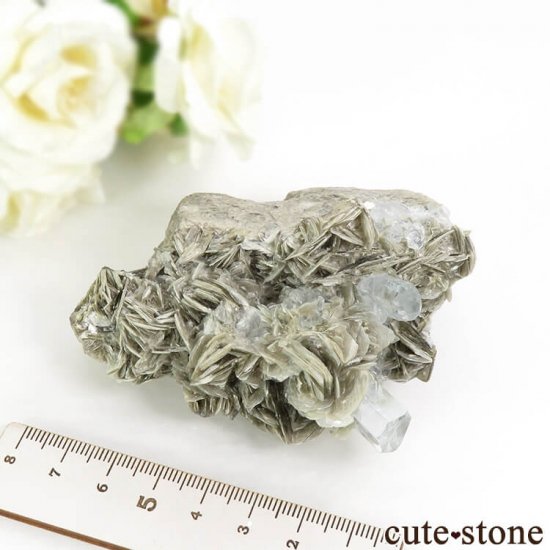 ѥ ޥդ뾽ʸС 206gμ̿7 cute stone