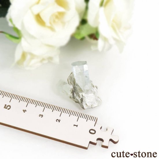 ѥ ޥ⥹ХȤη뾽ʸС 6.2gμ̿3 cute stone