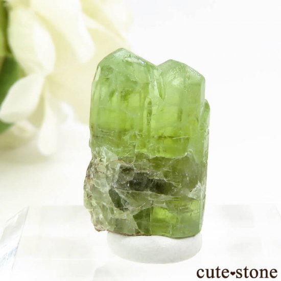 パキスタン産 ペリドットの結晶（原石）15.5ct - cute stone -