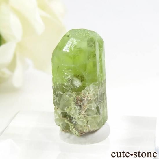 パキスタン産 ペリドットの結晶（原石）15.5ct - cute stone -