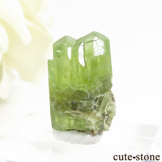 ѥ ڥɥåȤη뾽ʸС15.5ctμ̿1 cute stone