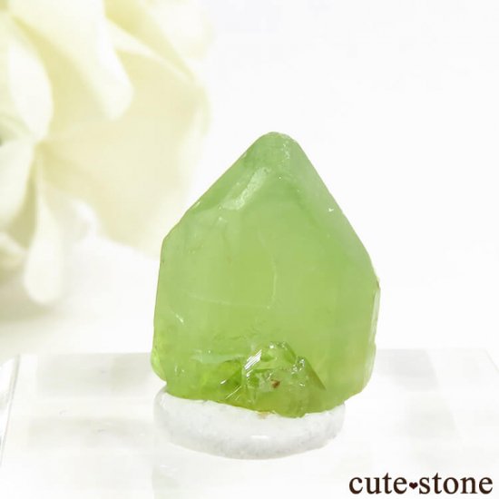 ѥ ڥɥåȤη뾽ʸС10.4ctμ̿1 cute stone