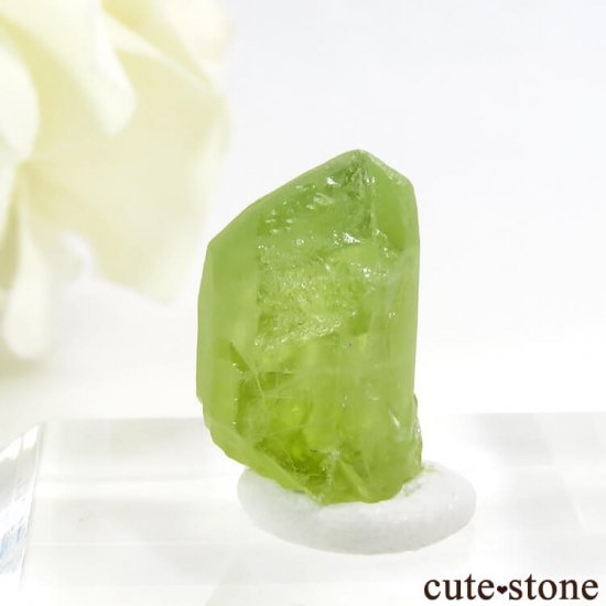 ѥ ڥɥåȤη뾽ʸС10.4ctμ̿2 cute stone