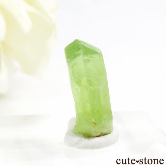 ѥ ڥɥåȤη뾽ʸС6.3ctμ̿0 cute stone