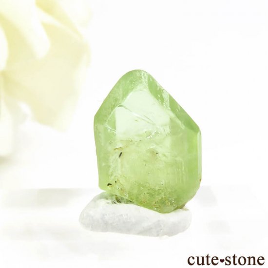 ѥ ڥɥåȤη뾽ʸС6.3ctμ̿1 cute stone