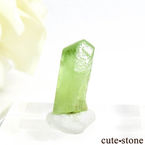 ѥ ڥɥåȤη뾽ʸС6.3ctμ̿2 cute stone